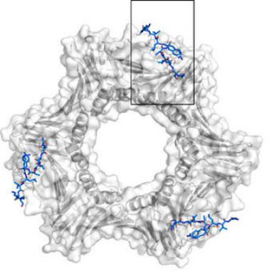 pipeline intervention point 1 v5